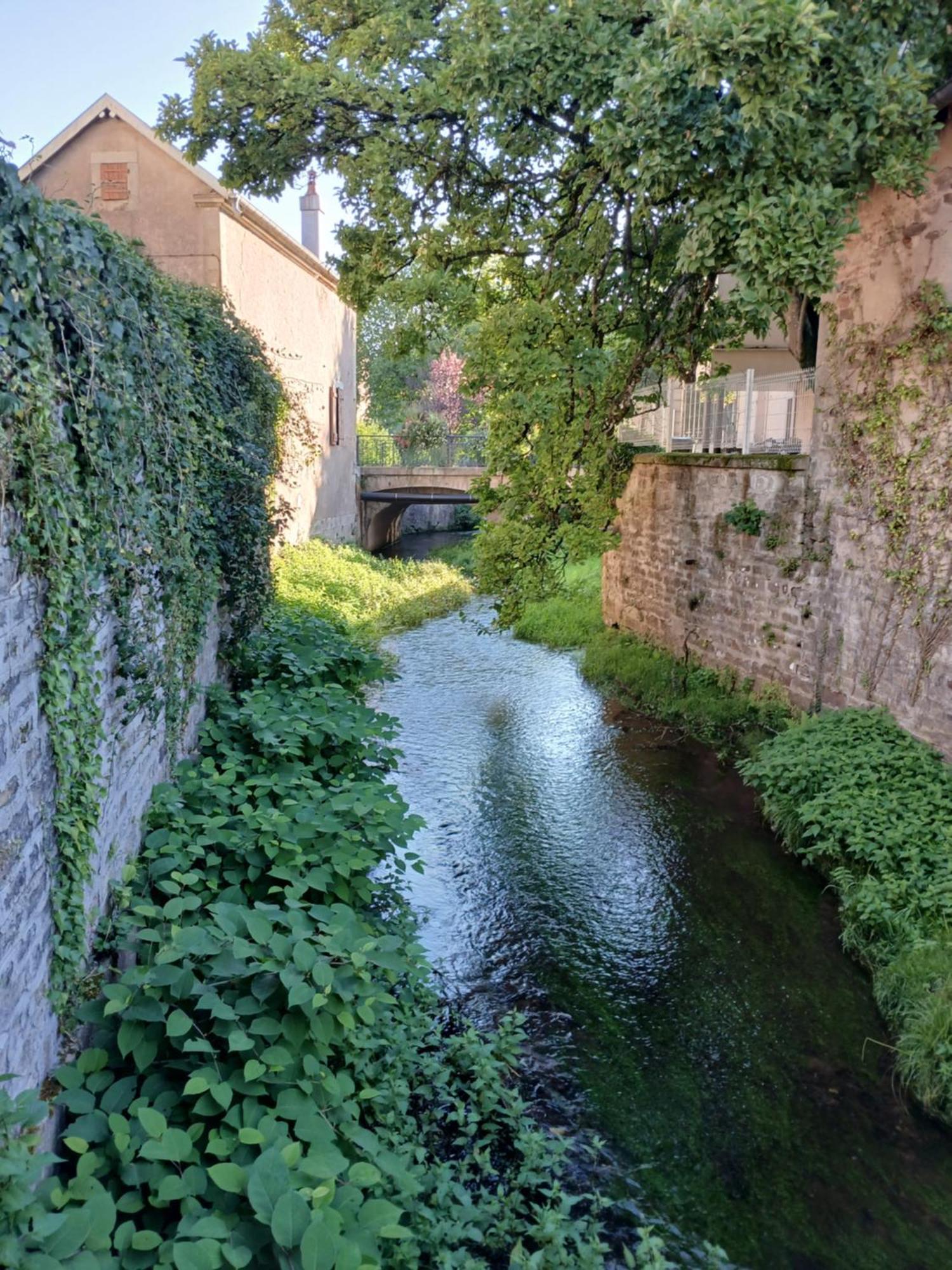 Manoir La Cerise Bed & Breakfast Fougerolles-Saint-Valbert Dış mekan fotoğraf